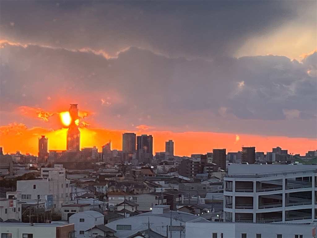 f:id:narutabi:20250113112438j:image