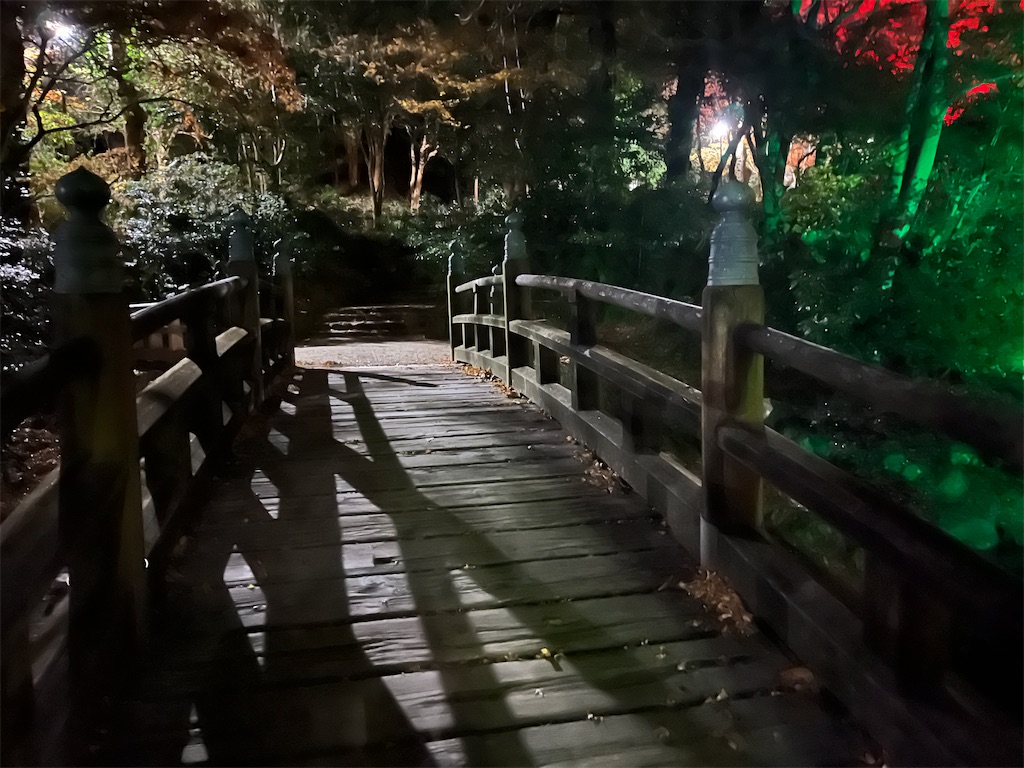 f:id:narutabi:20250113112451j:image