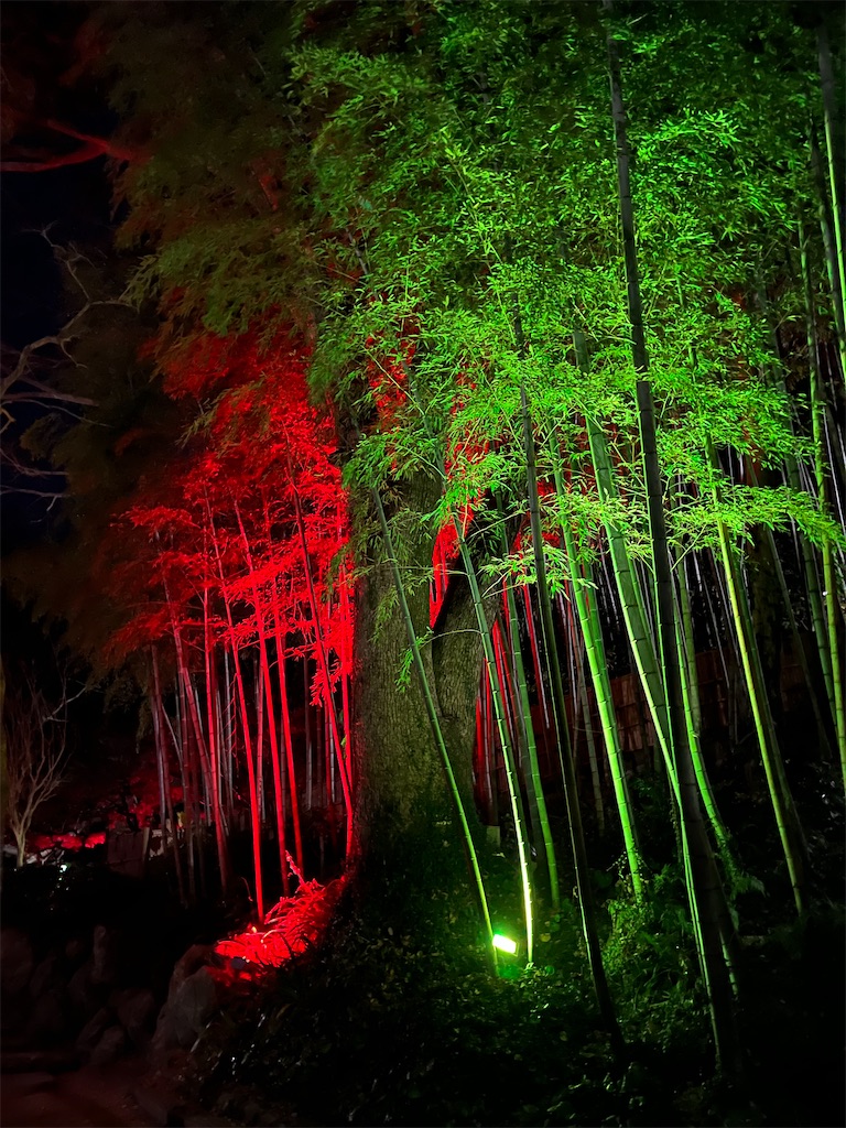 f:id:narutabi:20250113112458j:image