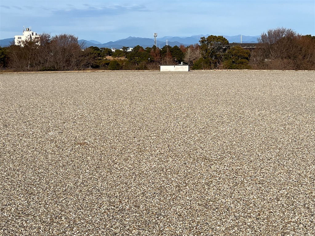 f:id:narutabi:20250116214950j:image