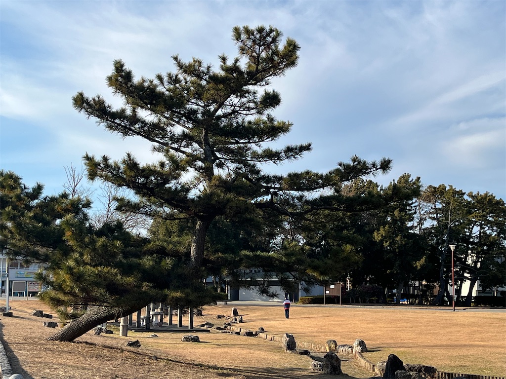 f:id:narutabi:20250116215026j:image