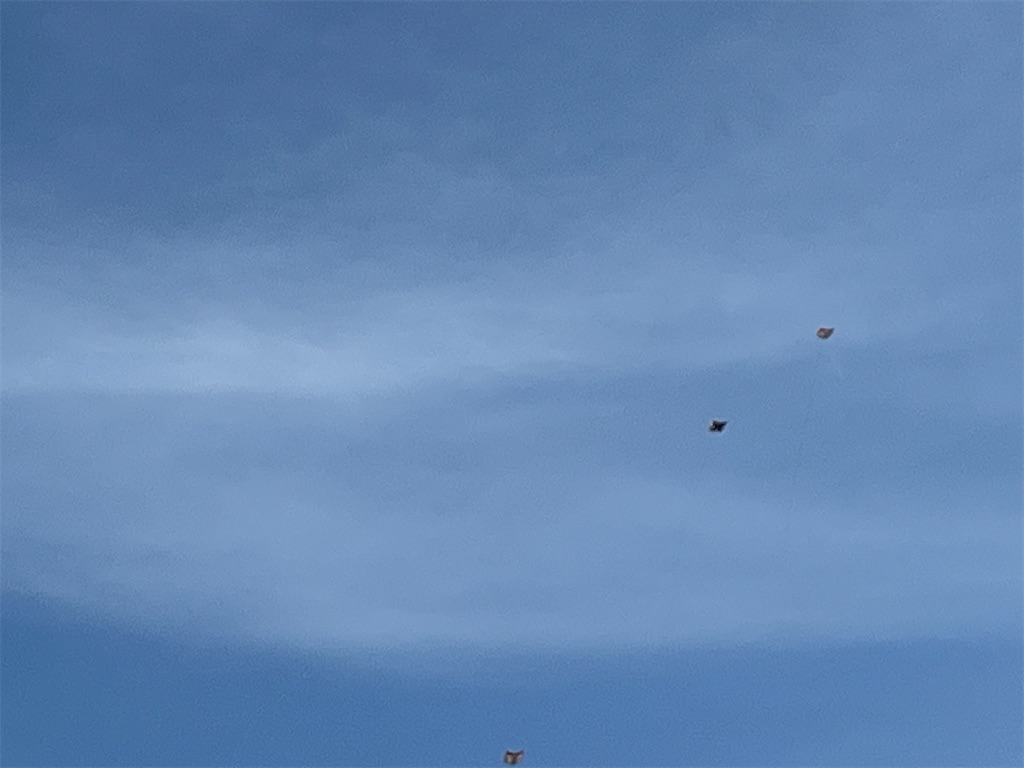 f:id:narutabi:20250116215054j:image