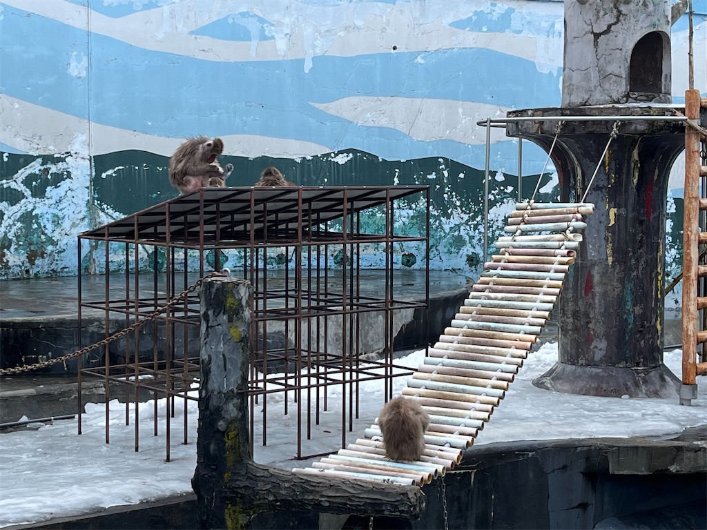 f:id:narutabi:20250127193859j:image