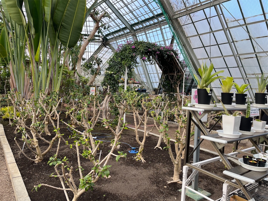 f:id:narutabi:20250127194038j:image