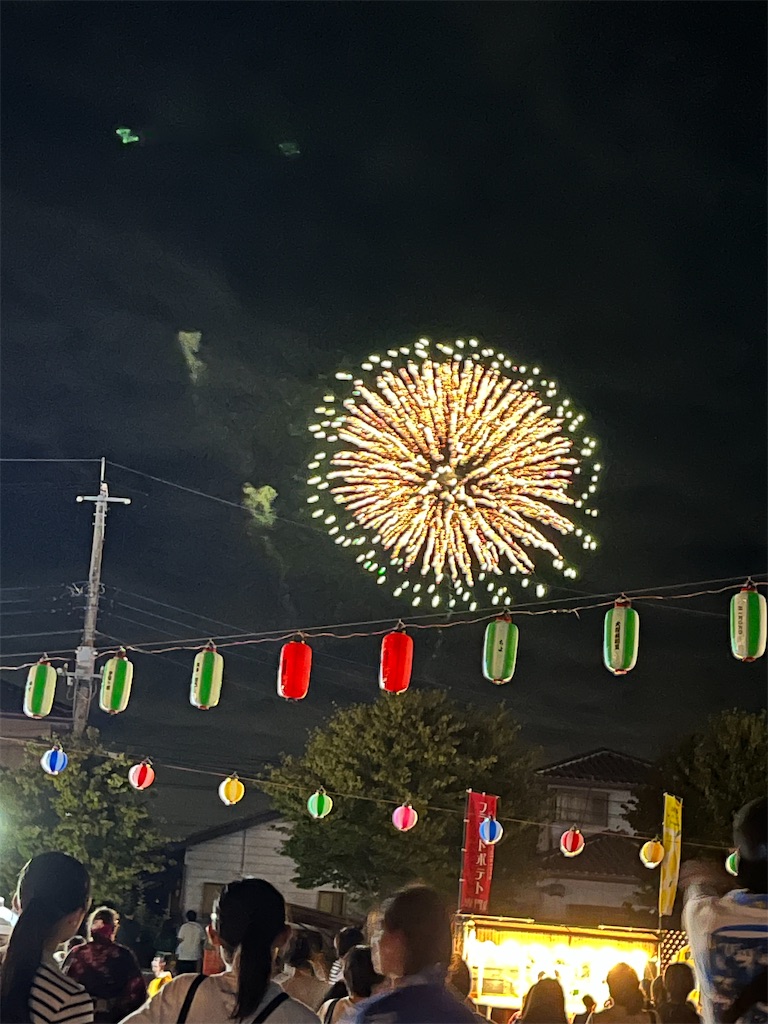 f:id:narutabi:20250130214849j:image