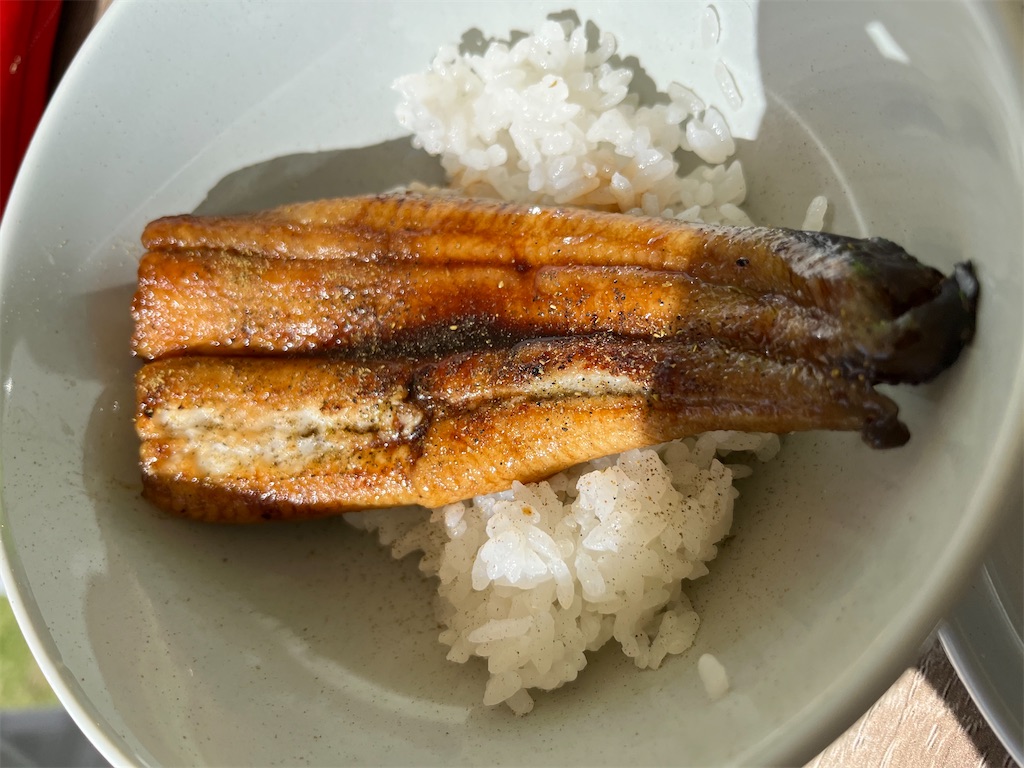 f:id:narutabi:20250130215035j:image