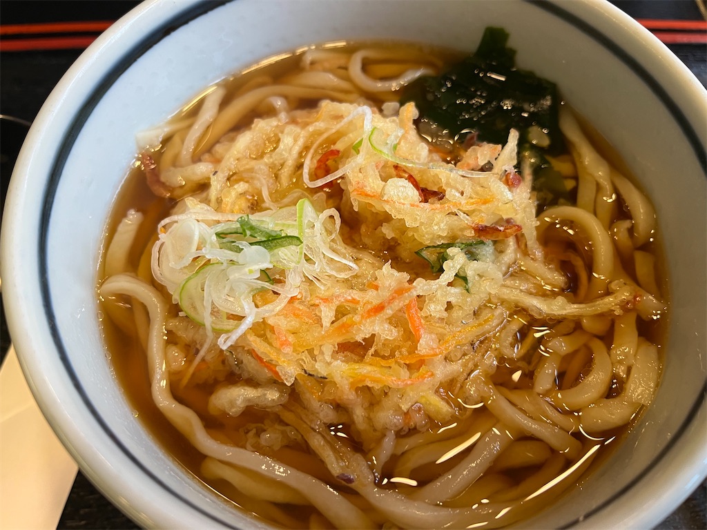 f:id:narutabi:20250203202301j:image