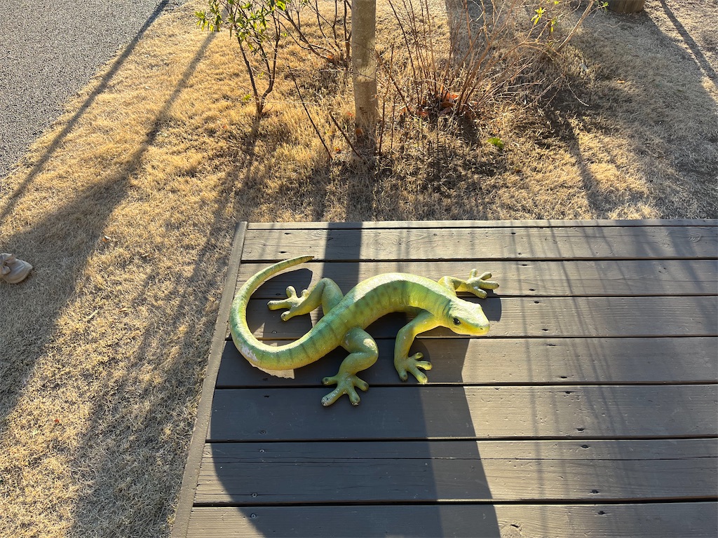f:id:narutabi:20250211112210j:image