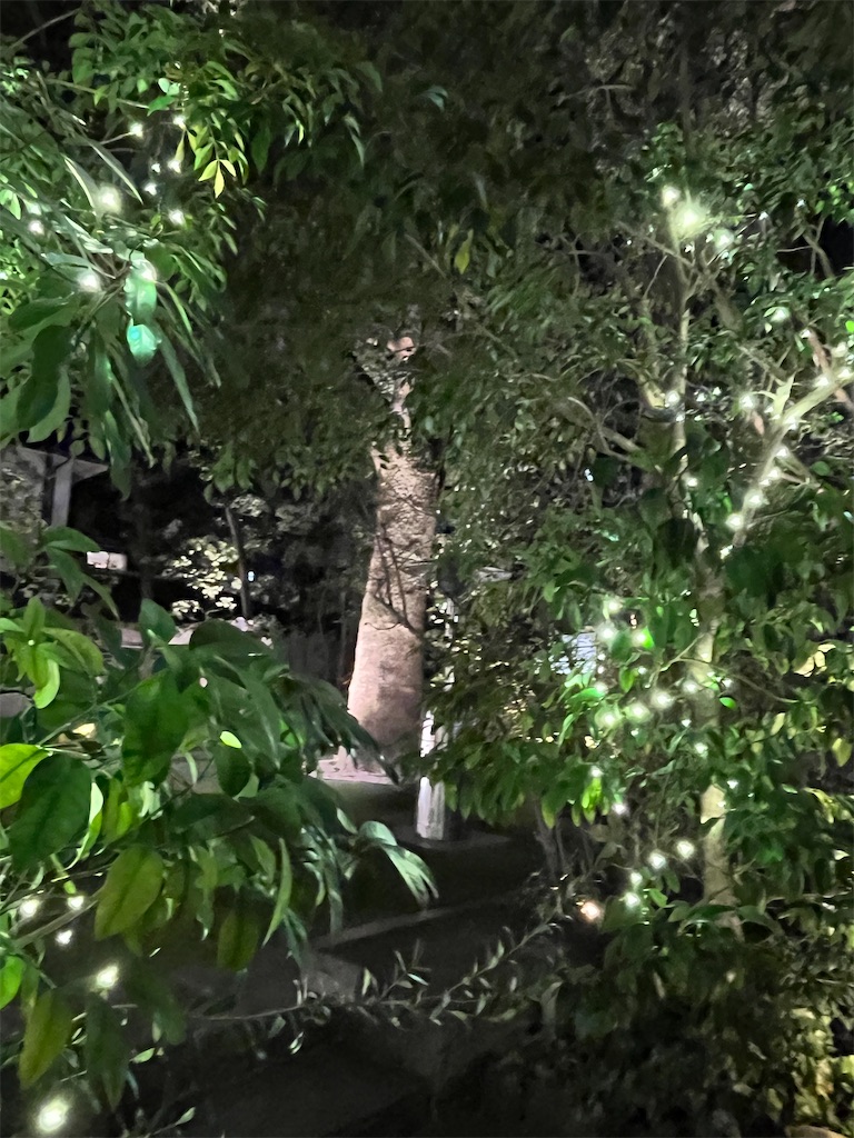 f:id:narutabi:20250216105722j:image