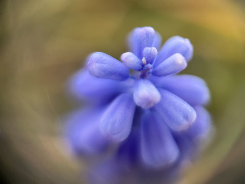 f:id:narutabi:20250223232817j:image