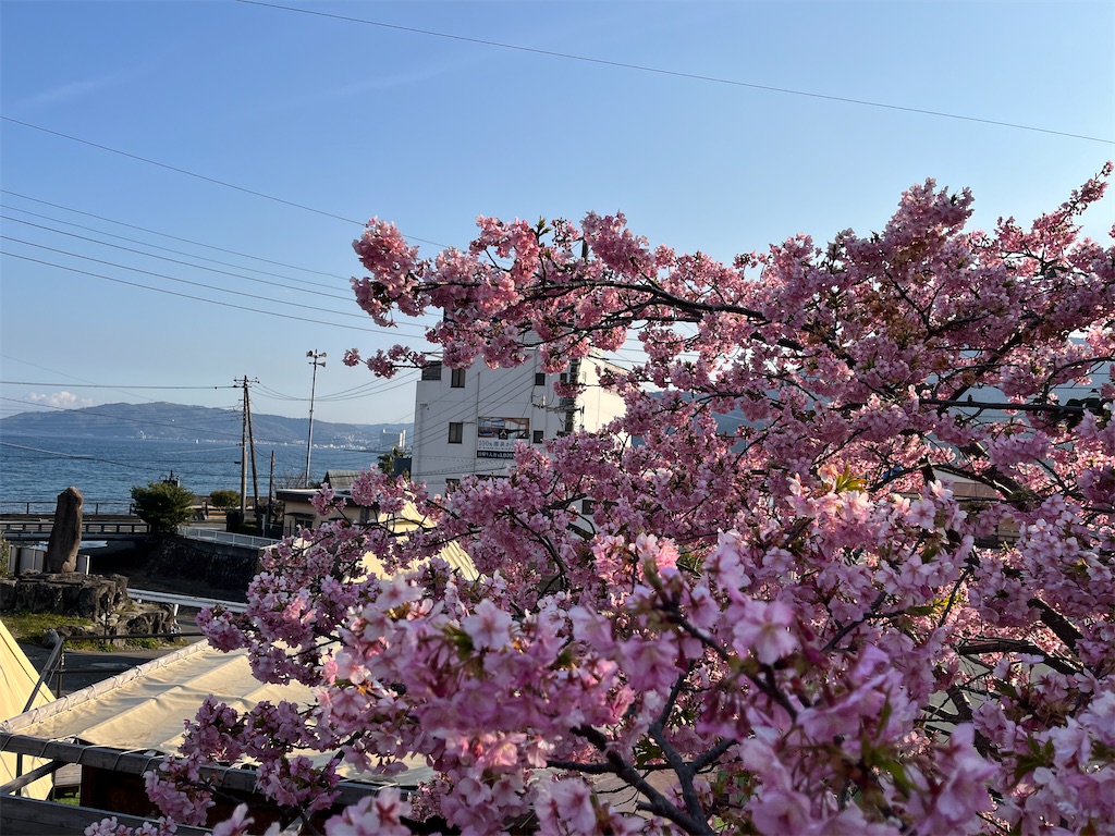 f:id:narutabi:20250304202208j:image