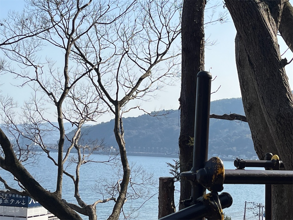 f:id:narutabi:20250304202219j:image