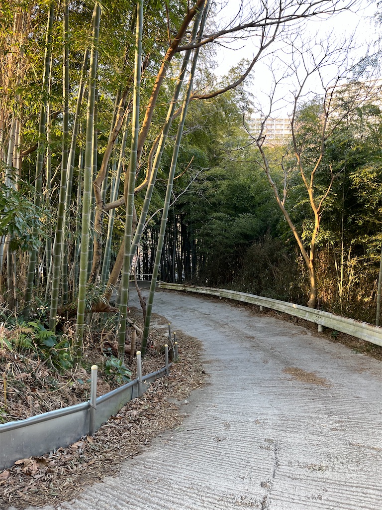 f:id:narutabi:20250304202322j:image