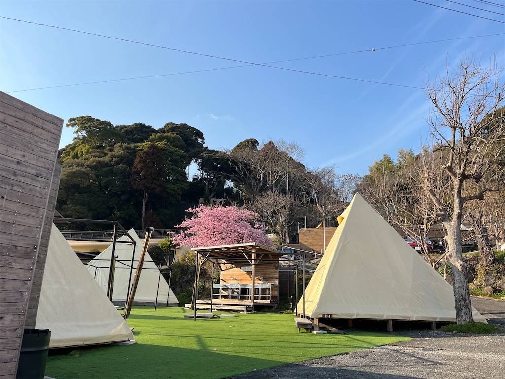 f:id:narutabi:20250304202341j:image