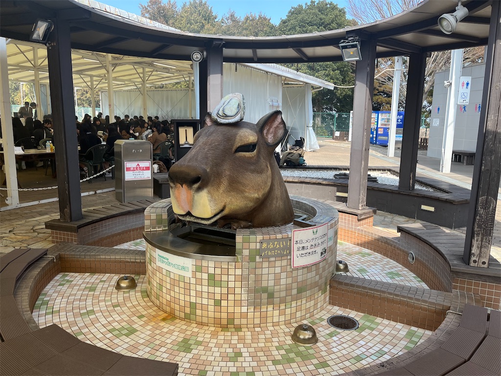 f:id:narutabi:20250305160813j:image