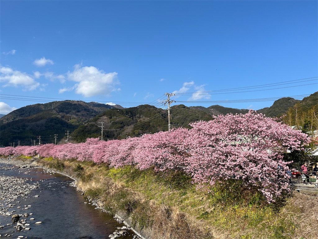 f:id:narutabi:20250305160858j:image