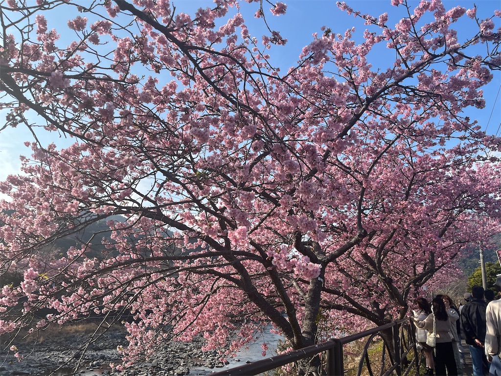 f:id:narutabi:20250305160909j:image