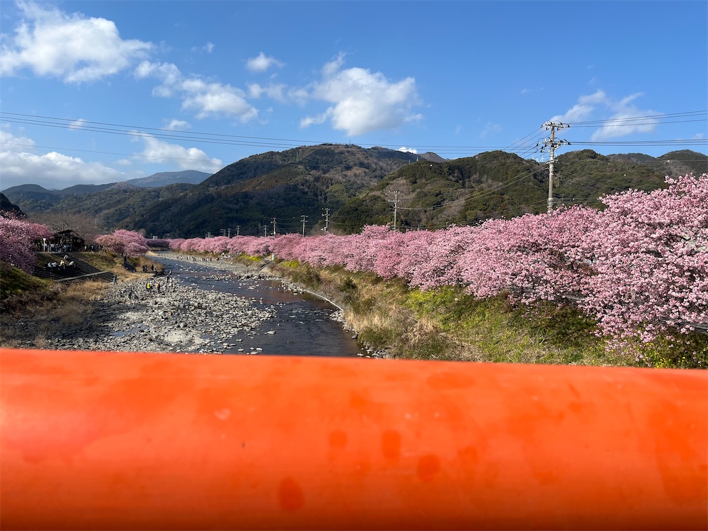 f:id:narutabi:20250305160913j:image