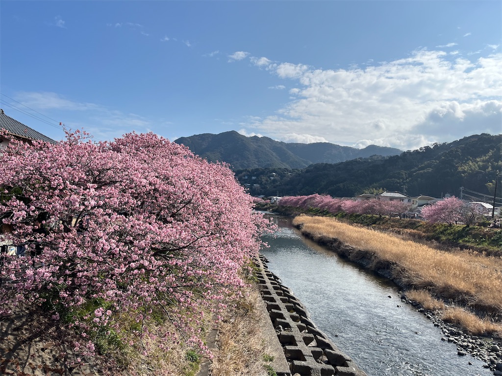 f:id:narutabi:20250305160932j:image