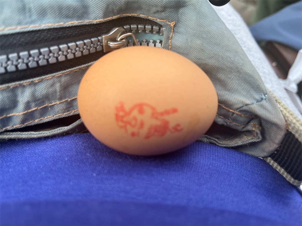 f:id:narutabi:20250305161002j:image