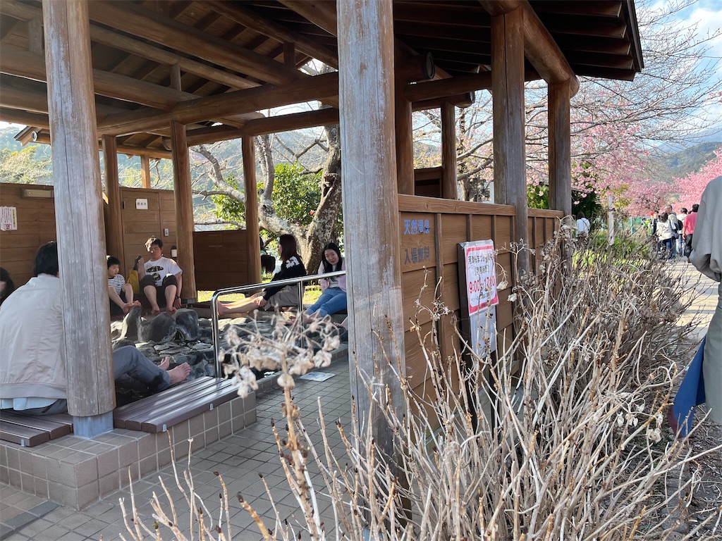 f:id:narutabi:20250305161035j:image