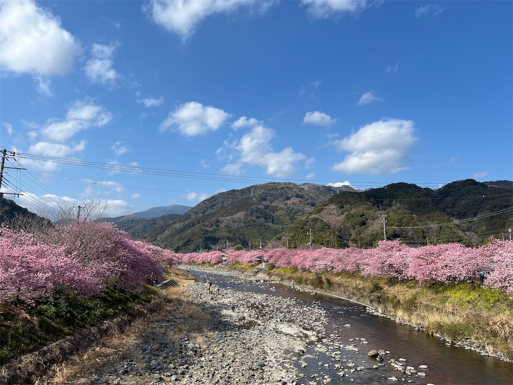 f:id:narutabi:20250305161039j:image