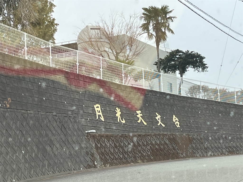 f:id:narutabi:20250310202952j:image
