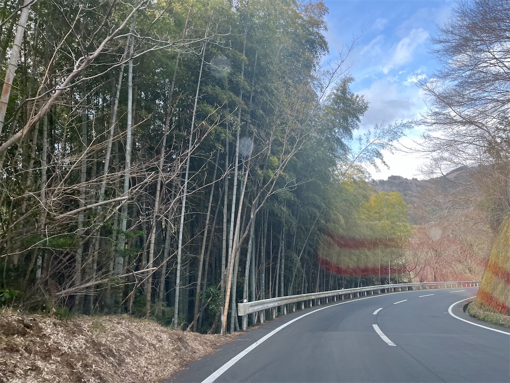 f:id:narutabi:20250310202959j:image