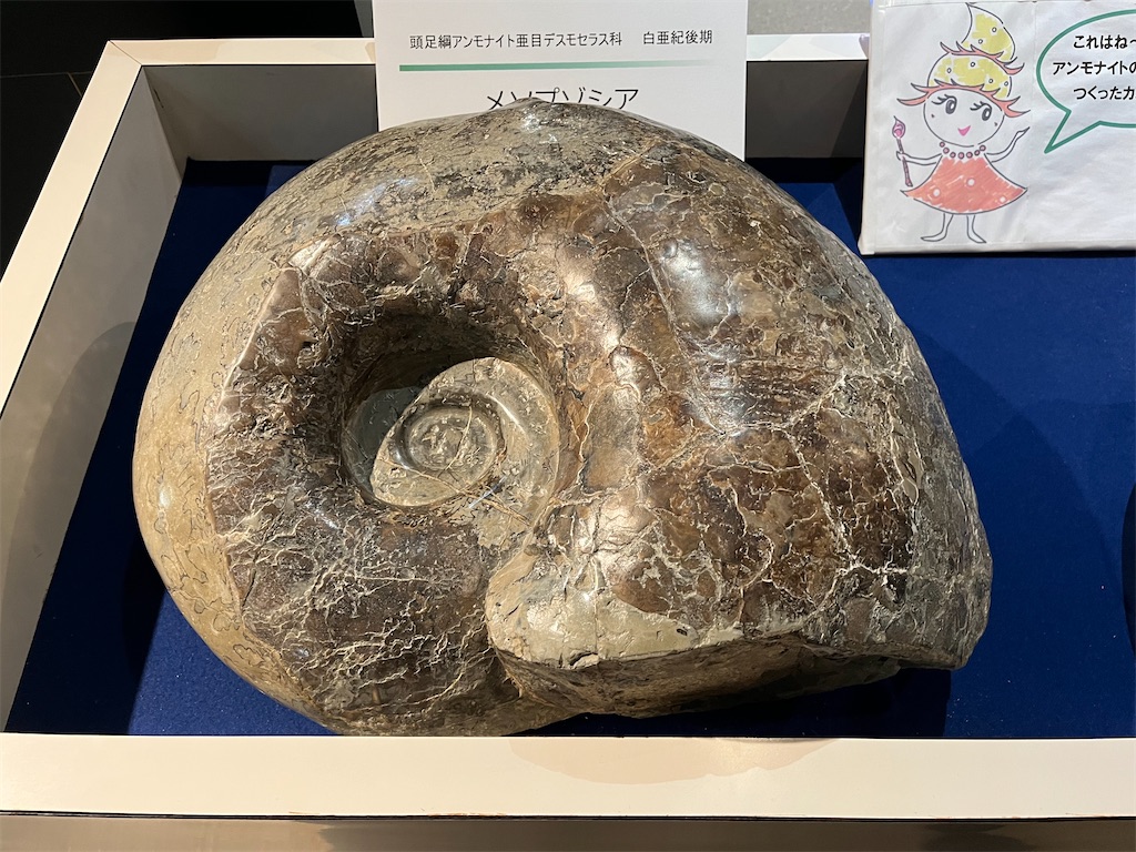 f:id:narutabi:20250310203017j:image