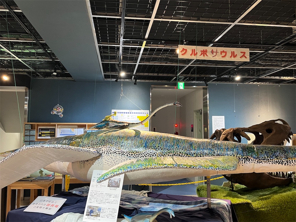f:id:narutabi:20250310203024j:image