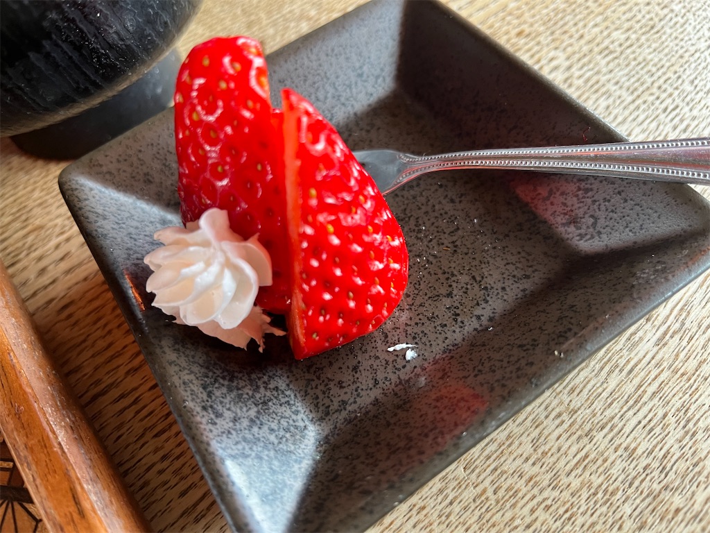 f:id:narutabi:20250310203140j:image