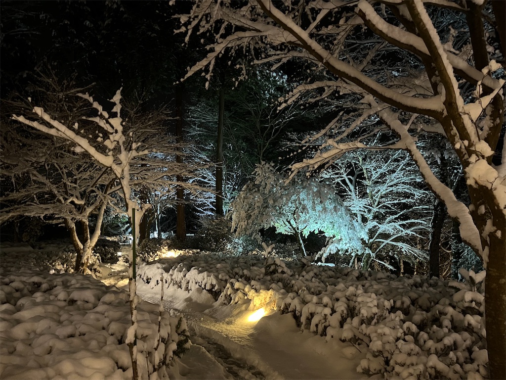 f:id:narutabi:20250311142357j:image