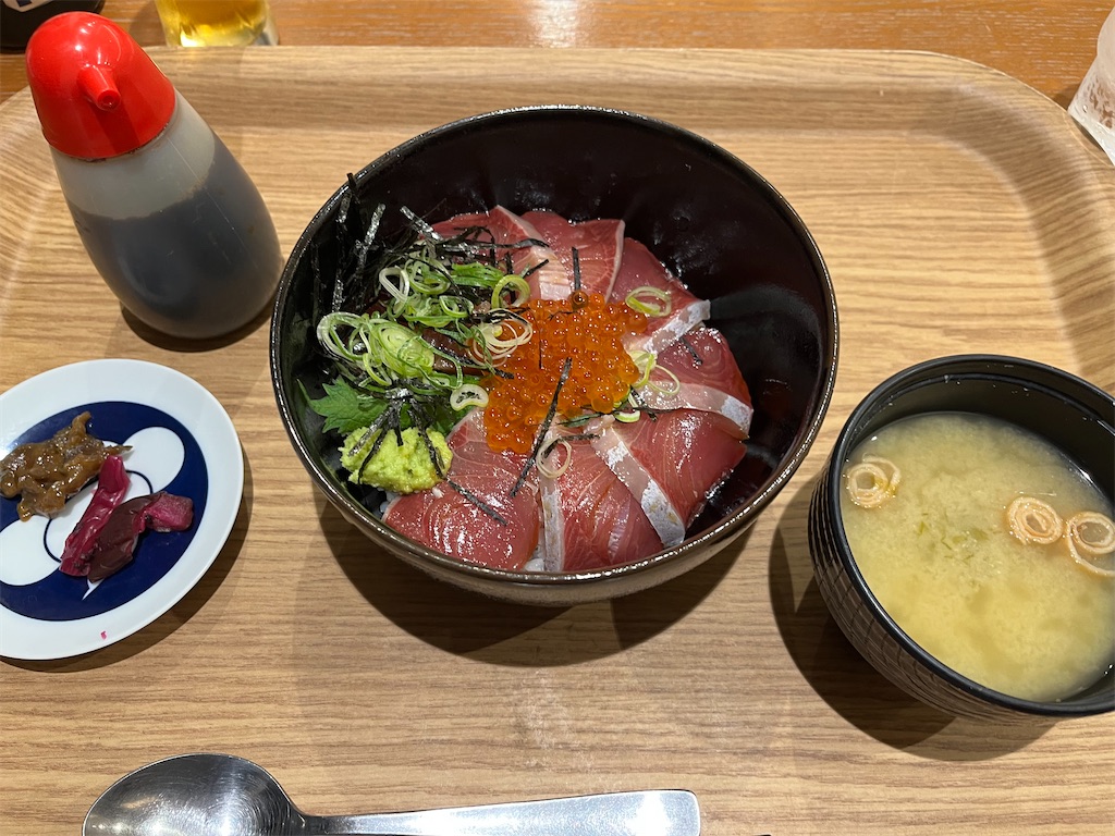 f:id:narutabi:20250315124438j:image