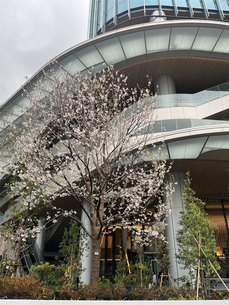 f:id:narutabi:20250331215536j:image