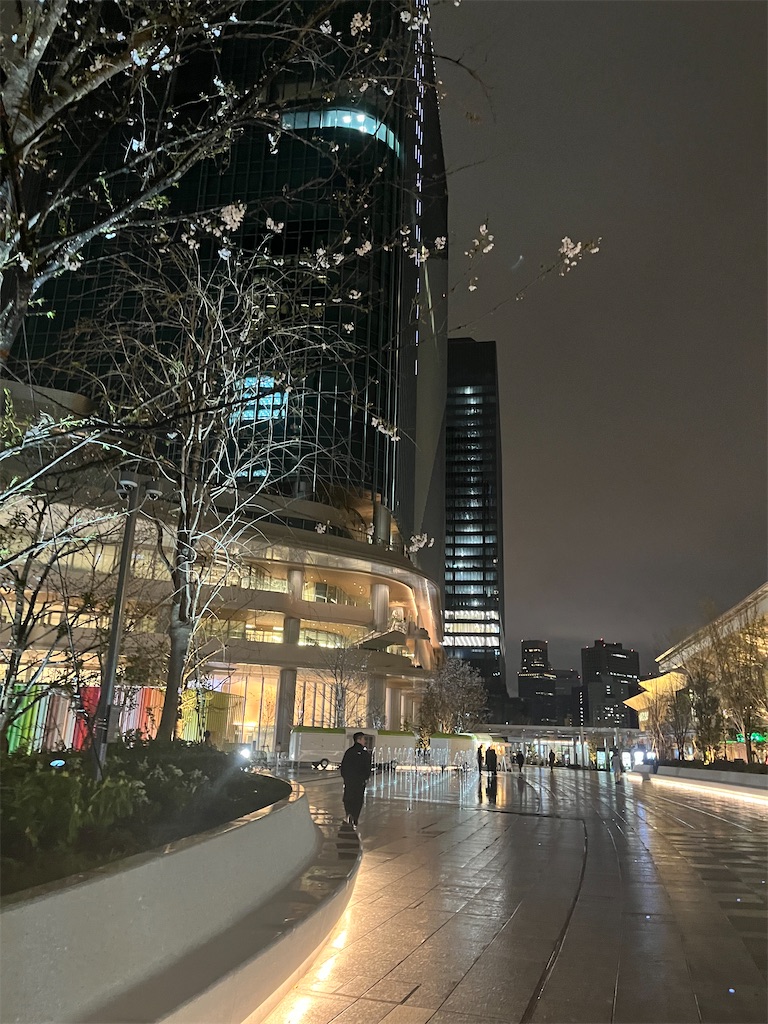 f:id:narutabi:20250331220940j:image