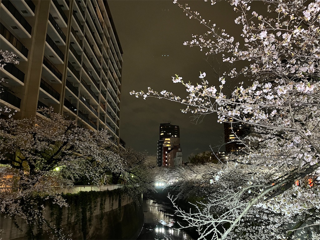 f:id:narutabi:20250404220557j:image f:id:narutabi:20250404220557j:image