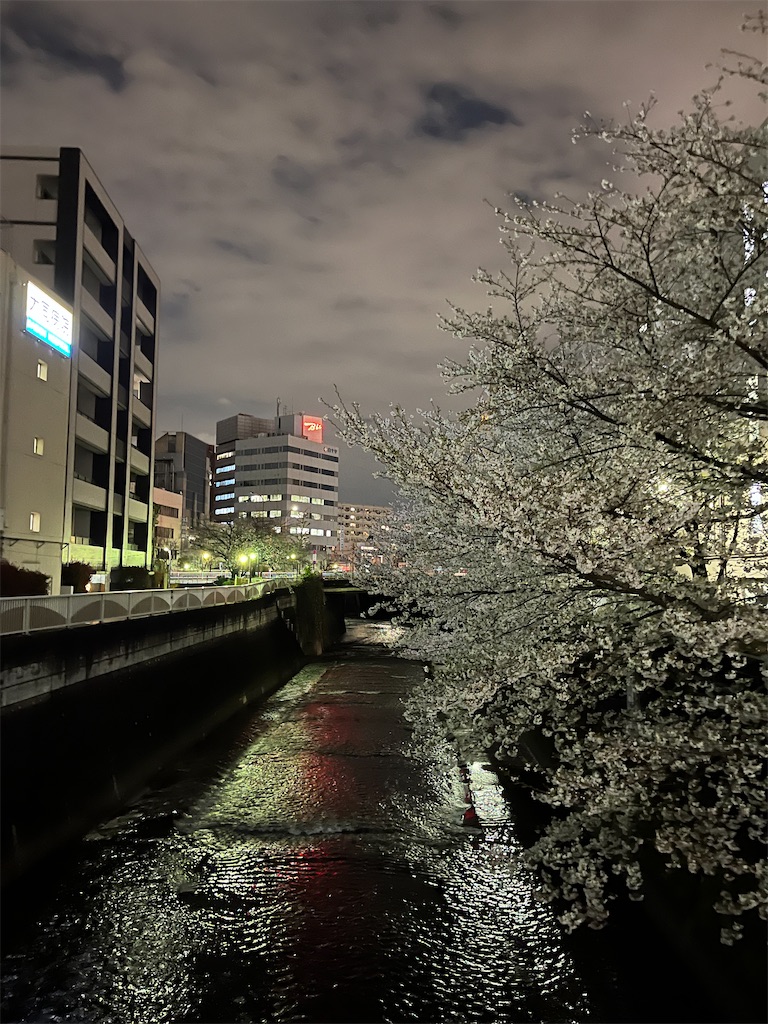 f:id:narutabi:20250404220600j:image f:id:narutabi:20250404220600j:image