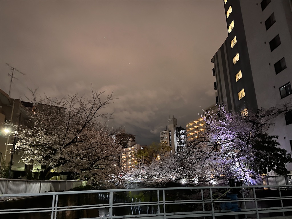 f:id:narutabi:20250404220604j:image f:id:narutabi:20250404220604j:image