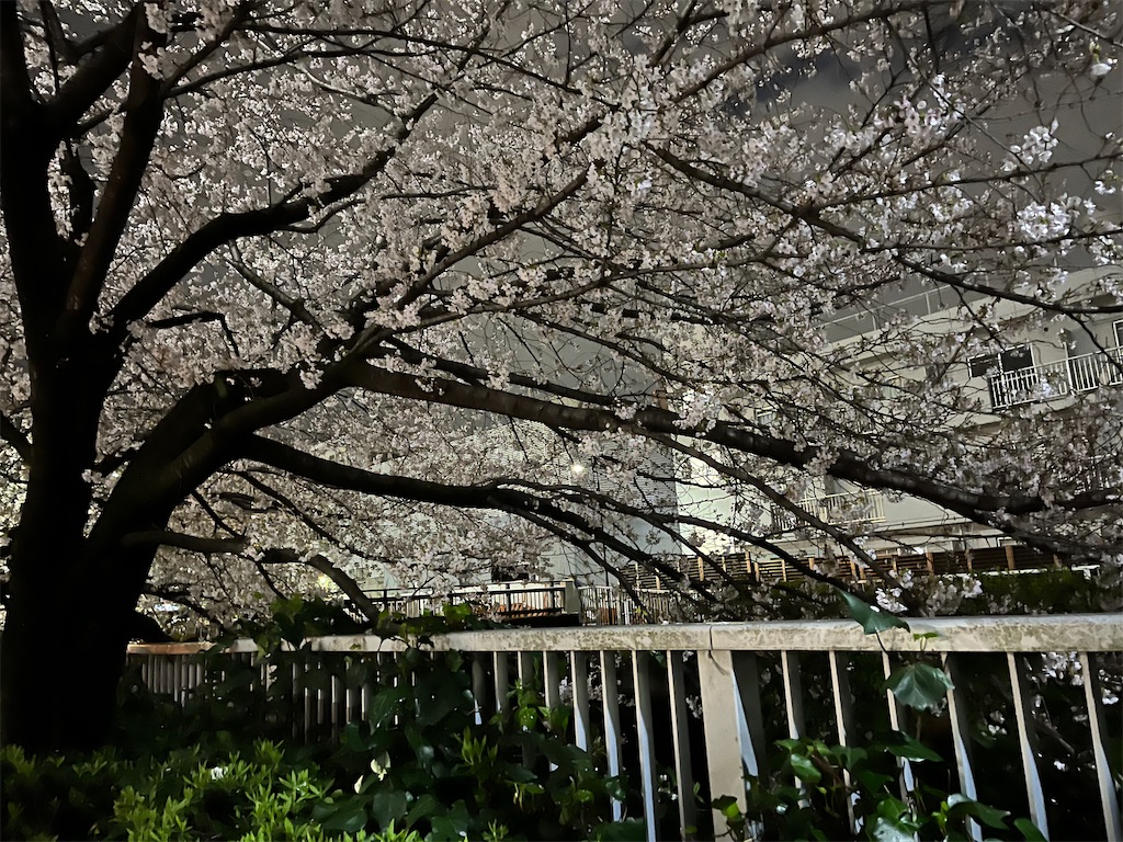 f:id:narutabi:20250404220609j:image f:id:narutabi:20250404220609j:image