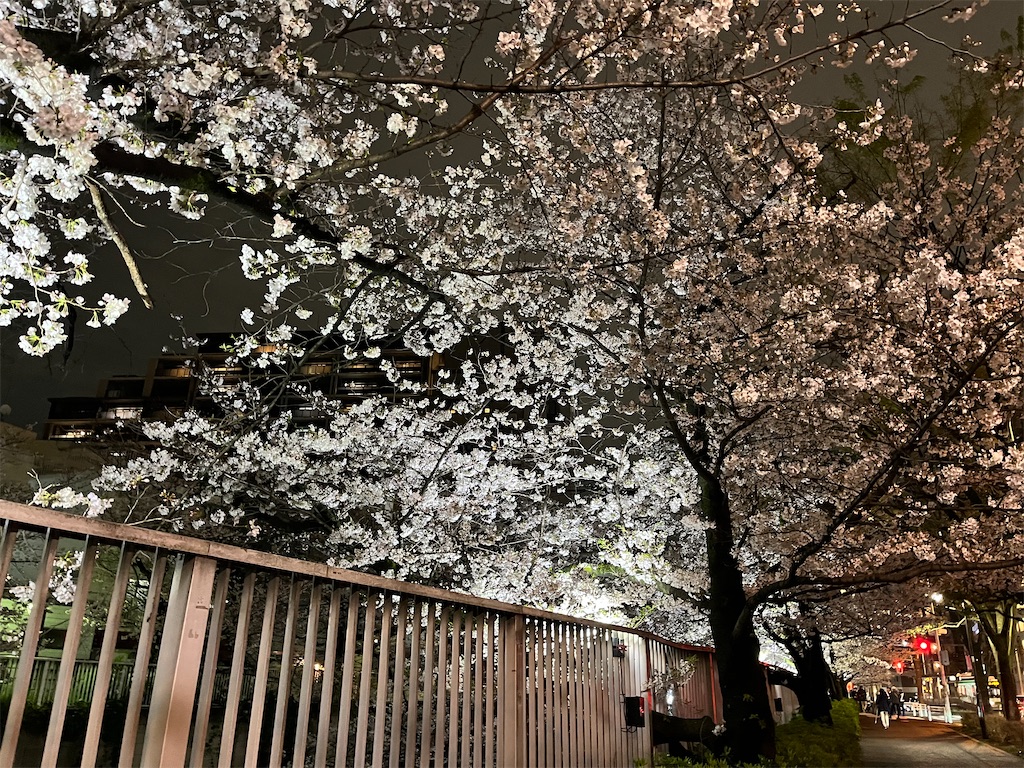 f:id:narutabi:20250404220612j:image f:id:narutabi:20250404220612j:image