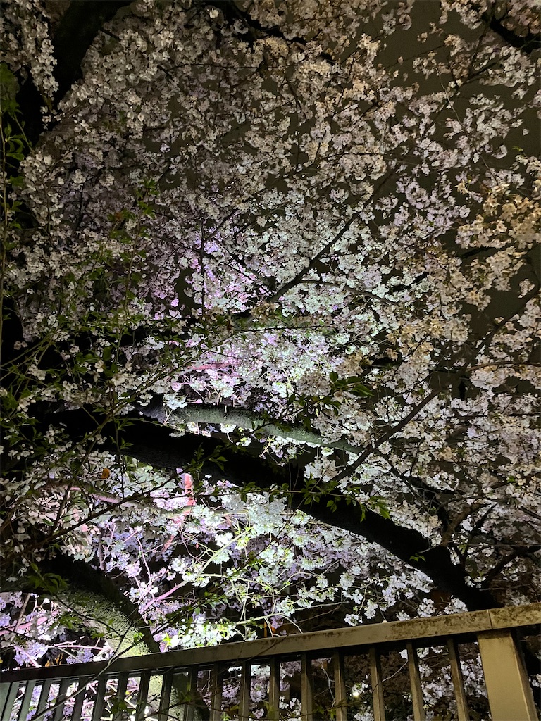f:id:narutabi:20250404220615j:image f:id:narutabi:20250404220615j:image