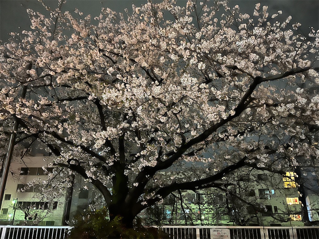 f:id:narutabi:20250404220618j:image f:id:narutabi:20250404220618j:image