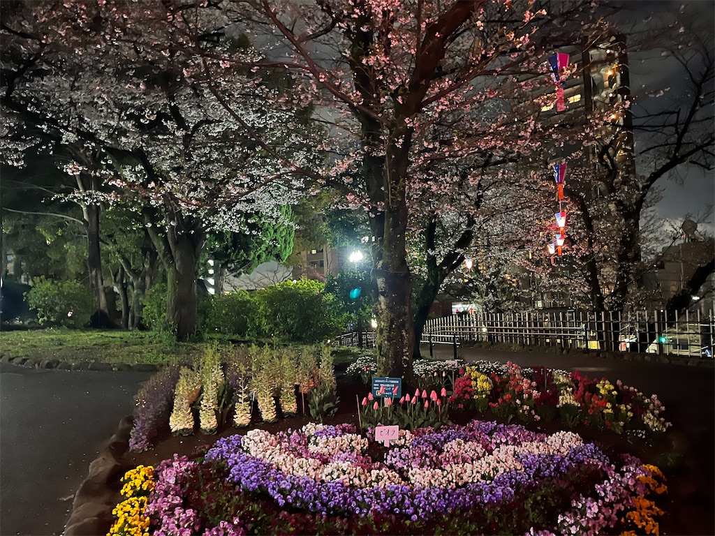 f:id:narutabi:20250404220823j:image f:id:narutabi:20250404220823j:image