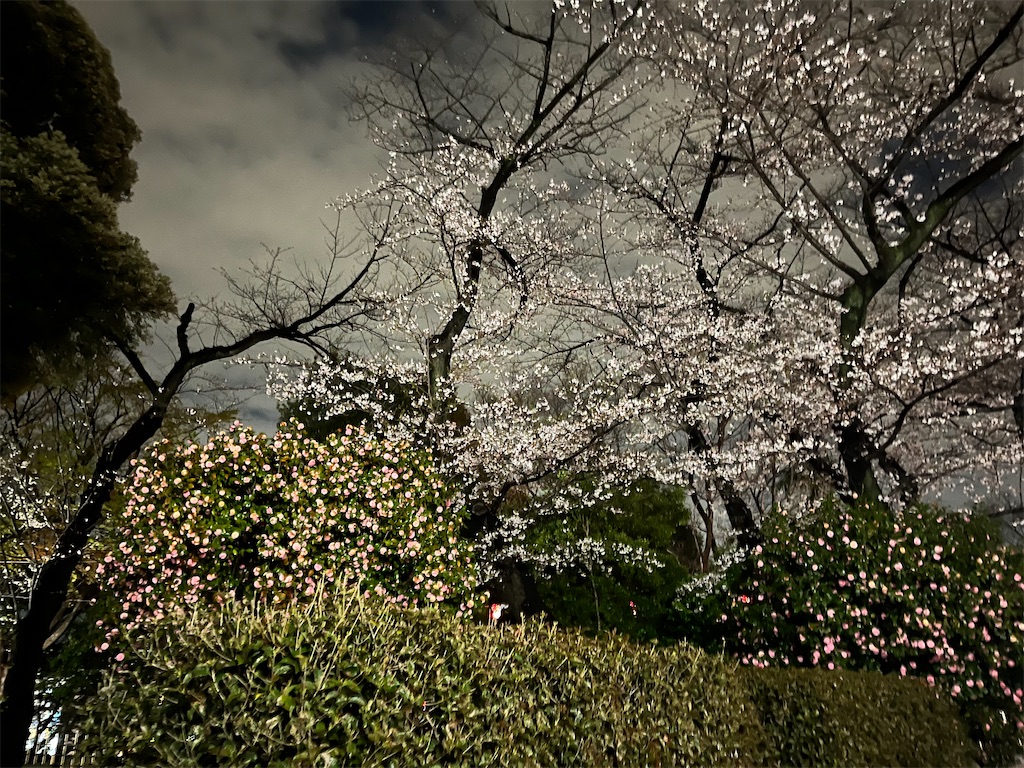 f:id:narutabi:20250404220829j:image f:id:narutabi:20250404220829j:image