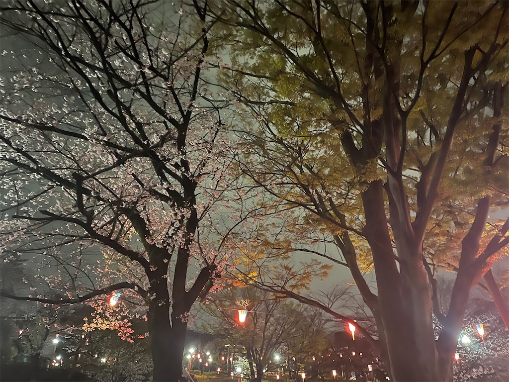 f:id:narutabi:20250404220839j:image f:id:narutabi:20250404220839j:image