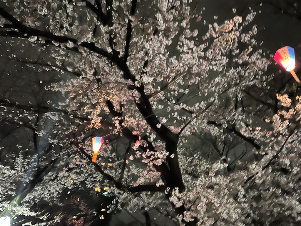 f:id:narutabi:20250404220843j:image f:id:narutabi:20250404220843j:image