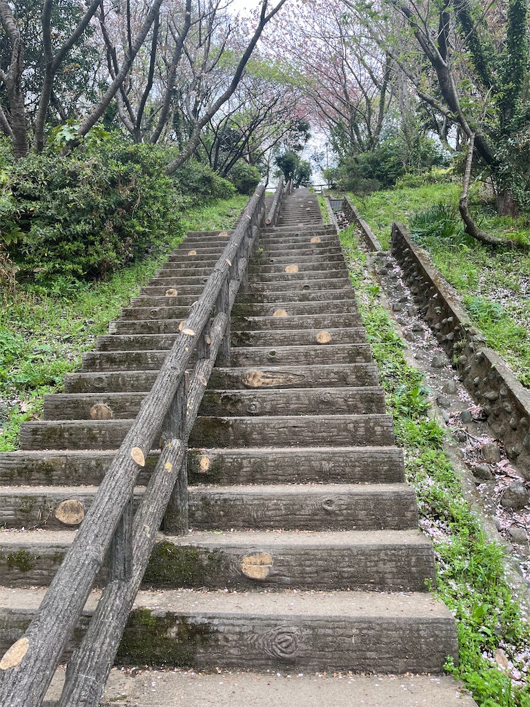 f:id:narutabi:20250413233153j:image