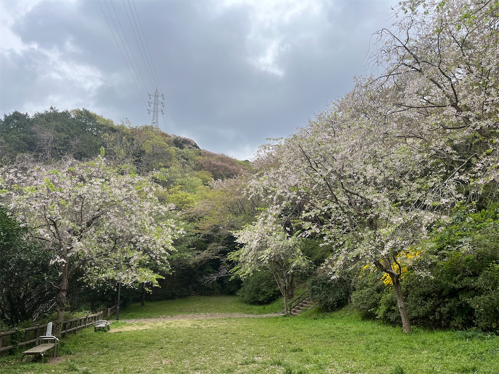 f:id:narutabi:20250413233210j:image