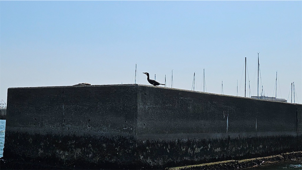 f:id:narutabi:20250415200916j:image