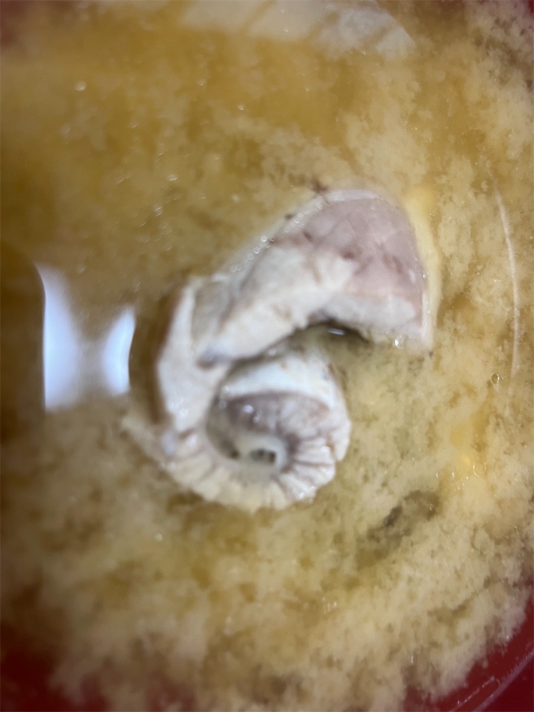 f:id:narutabi:20250429225514j:image